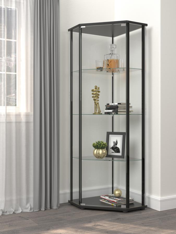 953234 - CURIO CABINET